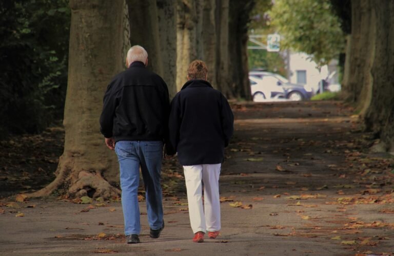 senior, couple, autumn walk, two, in the park, relation, hands, love, friendship, pensioner, autumn, way, relaxation, avenue, support, the elderly, health, he and she, here and now, the statute of limitations, century, walking, trust, relation, relation, relation, relation, relation